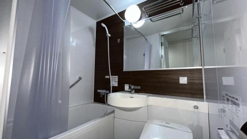 Hotel Alpha-One Yamaguchi Inter في ياماغوتشي: حمام مع مرحاض ومغسلة ومرآة