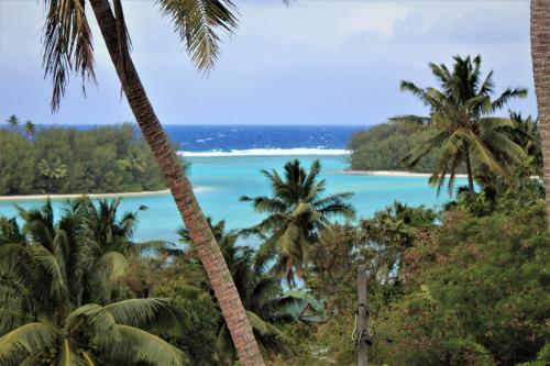 a view of the ocean from a resort with palm trees at Muri Vista Villas in Rarotonga