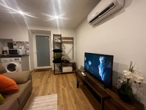 a living room with a large flat screen tv at Flat da Kaká in Maia