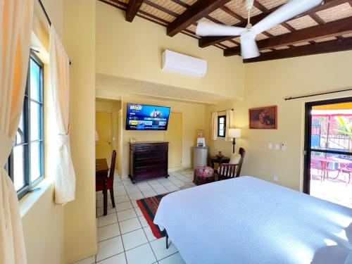 a bedroom with a bed and a tv in a room at Estrellita's Bed & Breakfast in Ajijic