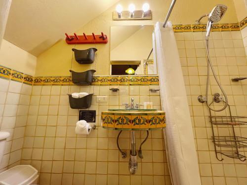 a bathroom with a sink and a shower at Estrellita's Bed & Breakfast in Ajijic
