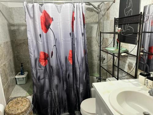 a bathroom with a shower curtain with red flowers on it at Nine Miles Cultural Hangouts and Tours in Stepney