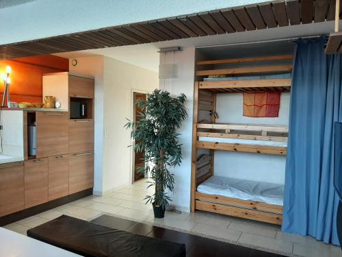 a room with bunk beds with a potted plant at Charmant T2 rénové à Capbreton à 2 min de la plage avec parking privé - FR-1-239-901 in Capbreton