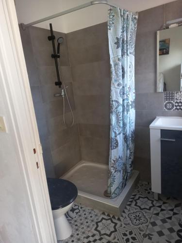 une salle de bain avec une douche avec des toilettes et un lavabo dans l'établissement Studio avec grande terrasse 2 personnes à Valras plage, à Valras-Plage
