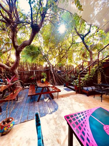 斯島的住宿－HOLBOX HOSTAL，一个带桌椅和树的庭院
