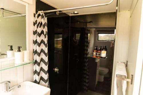 a bathroom with a shower with a sink and a mirror at Odyssean Tiny House in Cessnock