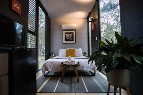 ein Schlafzimmer mit einem Bett und einer Topfpflanze in der Unterkunft Tiny House 888 in Pokolbin