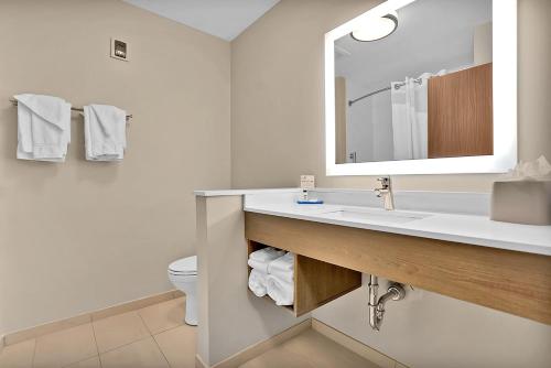 a bathroom with a sink and a toilet at Holiday Inn Express - Jacksonville South Bartram Prk by IHG in Jacksonville