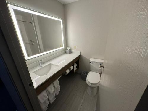 a bathroom with a sink and a toilet and a mirror at Holiday Inn Express & Suites Port Washington by IHG in Port Washington