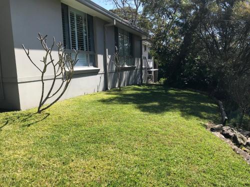 a small tree in the grass next to a house at Tranquil & luxurious retreat in Grays Point in Grays Point
