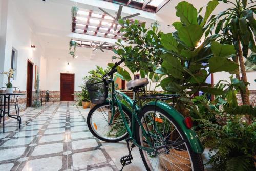 Una bicicleta verde estacionada en una habitación con plantas en Jardin Colonial Boutique Hotel, en Santo Domingo