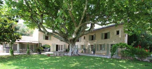 un grand arbre dans la cour d'une maison dans l'établissement Mas de la Fontaine, à Sarrians