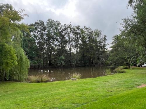 a pond in a park with green grass and trees at Denman Van Village in Denman