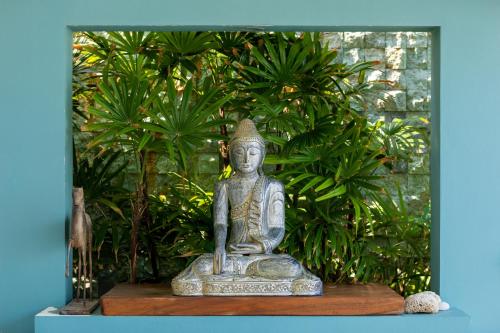 Κήπος έξω από το Villa Playa Samui