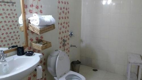 a bathroom with a toilet and a sink and a mirror at Ek Chidiya Cottage, Mukteswar in Mukteswar