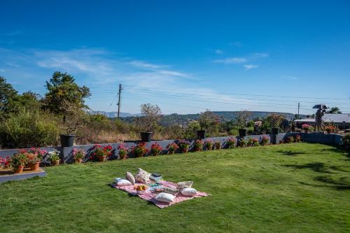 a group of flowers sitting on the grass at SaffronStays Blueberry in Panchgani
