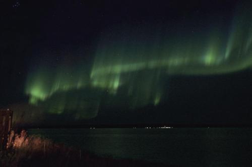 an aurora in the sky over a body of water at Seljenes Cottage in Russenes