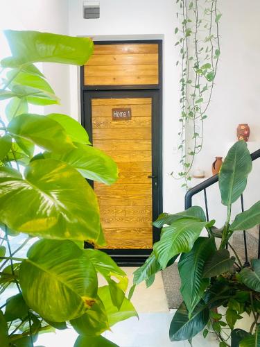 a wooden door in a room with green plants at Romo Homestay in Quang Ngai