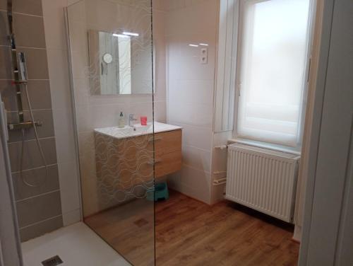 a bathroom with a glass shower and a sink at Big Townhouse In Paray Le Monial For 25 People in Paray-le-Monial