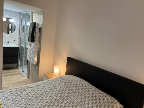 um quarto com uma cama e uma casa de banho com um lavatório em Appartement Cosy em Louhans
