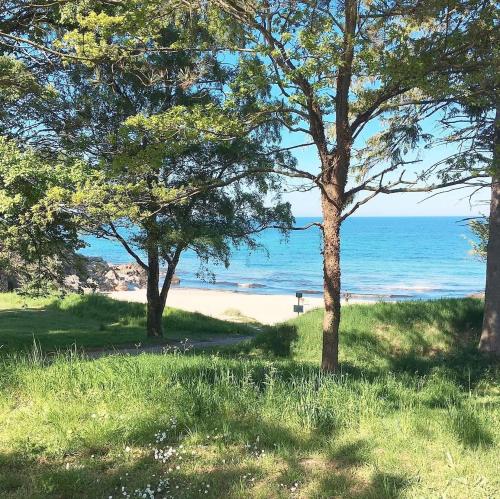 a beach with trees and the ocean in the background at Sandkaas Badehotel in Allinge