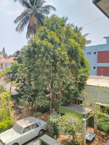 une voiture garée devant un arbre dans l'établissement Shanthi House, à Mysore