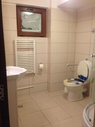 a bathroom with a toilet and a sink at Pensiunea Roka in Ranca