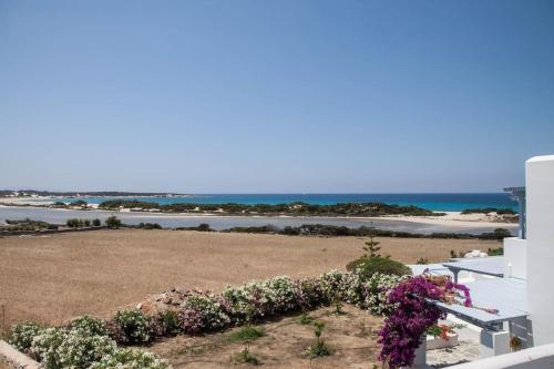 a view of the beach from a building with flowers at Glifada Sea View penthouse in Kastraki Naxou