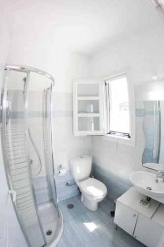 a bathroom with a shower and a toilet and a sink at Glifada Sea View penthouse in Kastraki Naxou