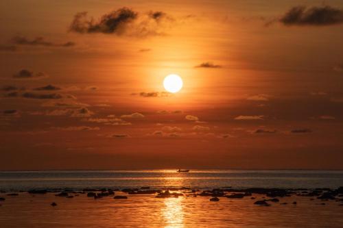 um pôr do sol sobre o oceano com pássaros na praia em Bintan Exotica Resort em Berakit