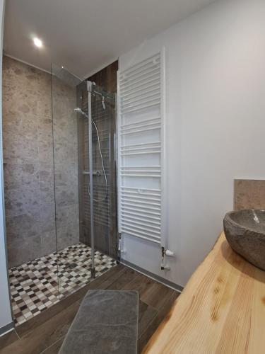 une salle de bain avec douche et lavabo dans l'établissement Grand gîte des pins, à Chaumousey