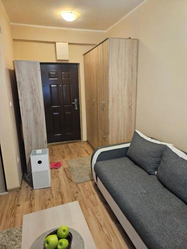 een woonkamer met een bank en een tafel bij Relax 2 in Obrenovac