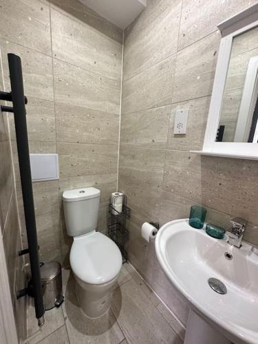 La salle de bains est pourvue de toilettes et d'un lavabo. dans l'établissement Delightful studio room in house, à Raynes Park