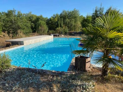 une grande piscine bleue avec un palmier dans l'établissement Grande maison avec piscine chauffée au Clos Caché!, à Escamps