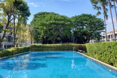 una grande piscina blu con alberi e cespugli di Oliver s house a Bangkok