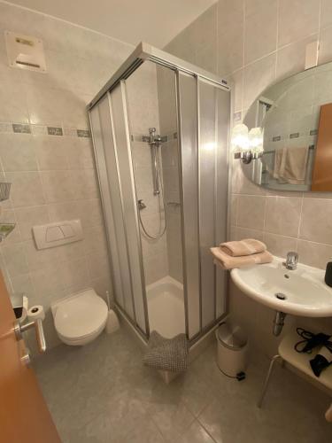 a bathroom with a shower and a toilet and a sink at Frühstückspension Haus Ebersdorf in Leiben