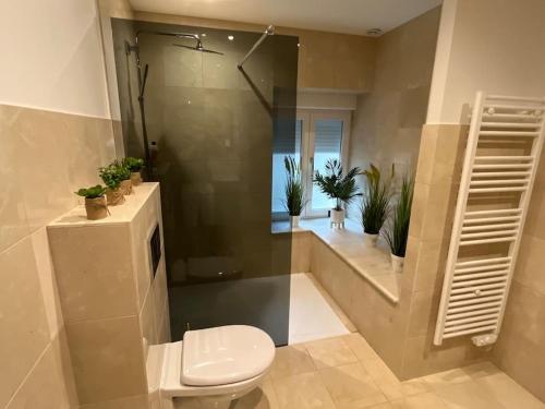 La salle de bains est pourvue de toilettes, d'une douche et de plantes. dans l'établissement Joli Appartement, à Épinal
