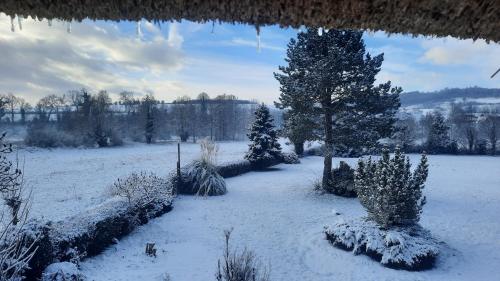 a garden covered in snow with trees and bushes at Les 2 chaumières avec piscine in Épinay