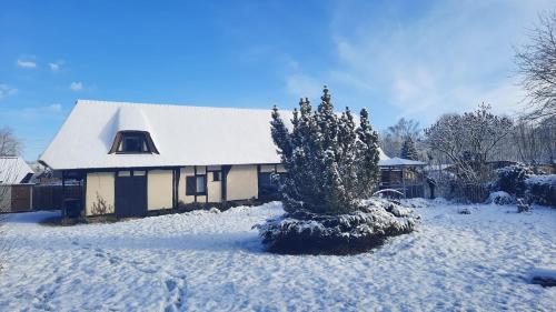 a house covered in snow with a tree in the yard at Les 2 chaumières avec piscine in Épinay