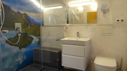 ein Bad mit einem WC, einem Waschbecken und einer Dusche in der Unterkunft Oberstdorfer Bergwelt 218 in Oberstdorf