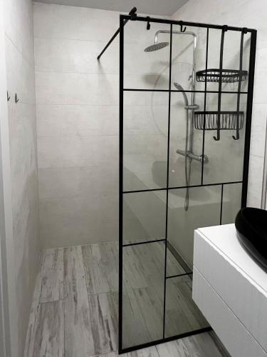 a glass shower partition in a bathroom with wood floors at PaVoni Terazze Verdi Łeba in Łeba