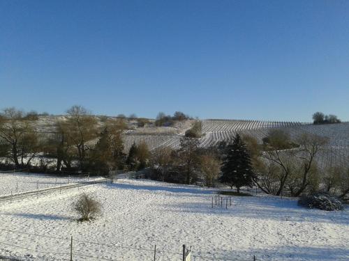 Weingut Hans Bausch v zimě