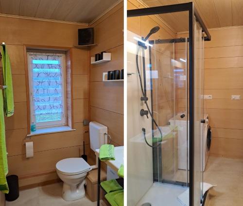 uma casa de banho com um WC e um chuveiro em Ferienhaus „Zum alten Fröhlich“ em Dresden