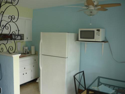 a kitchen with a white refrigerator and a microwave at Palm Court Motel in Dunedin