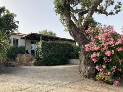 Maison avec jardin et parking privé à 300m du centre ville de porto -vecchio