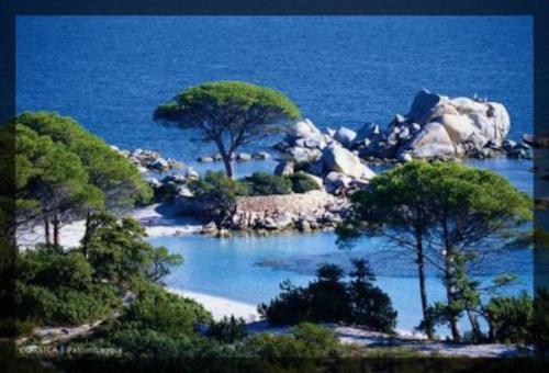 Maison avec jardin et parking privé à 300m du centre ville de porto -vecchio