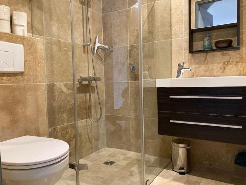 une salle de bain avec une douche, des toilettes et un lavabo dans l'établissement Maison à 5min à pied du centre ville de porto -vecchio, à Porto-Vecchio