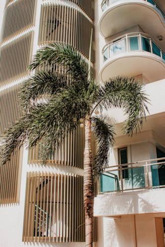 a palm tree in front of a tall building at Hotel Residency in Chandīgarh