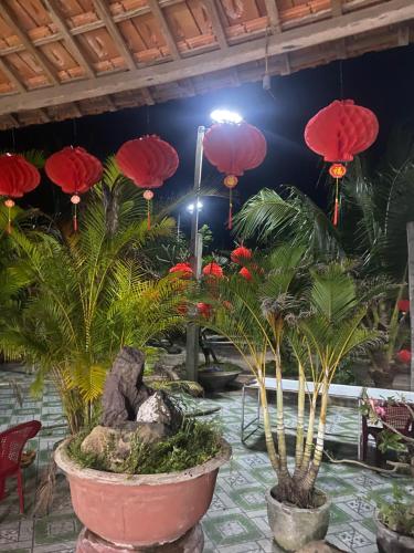 Zimmer mit Palmen und roten Laternen in der Unterkunft Bốn Mùa homestay in Phu Yen