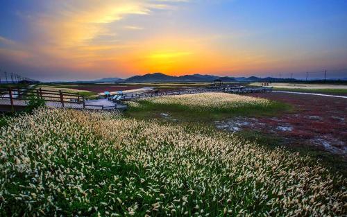 a field of grass with the sunset in the background at Eldorado Resort in Sinan